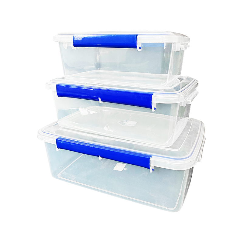 Plastic Food Storage Box Mold